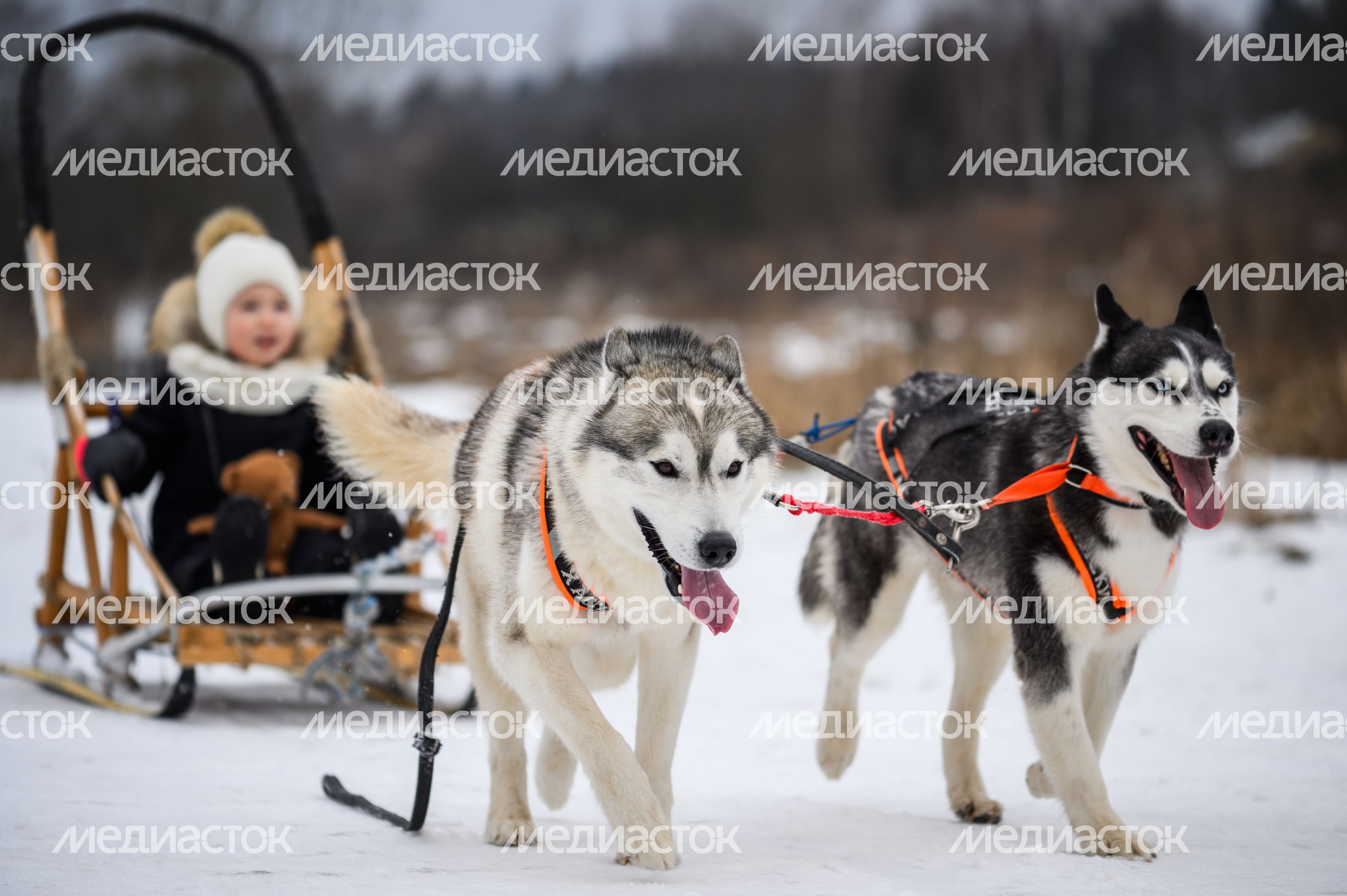 Празднование Масленицы в Муранове Празднование Масленицы в Муранове