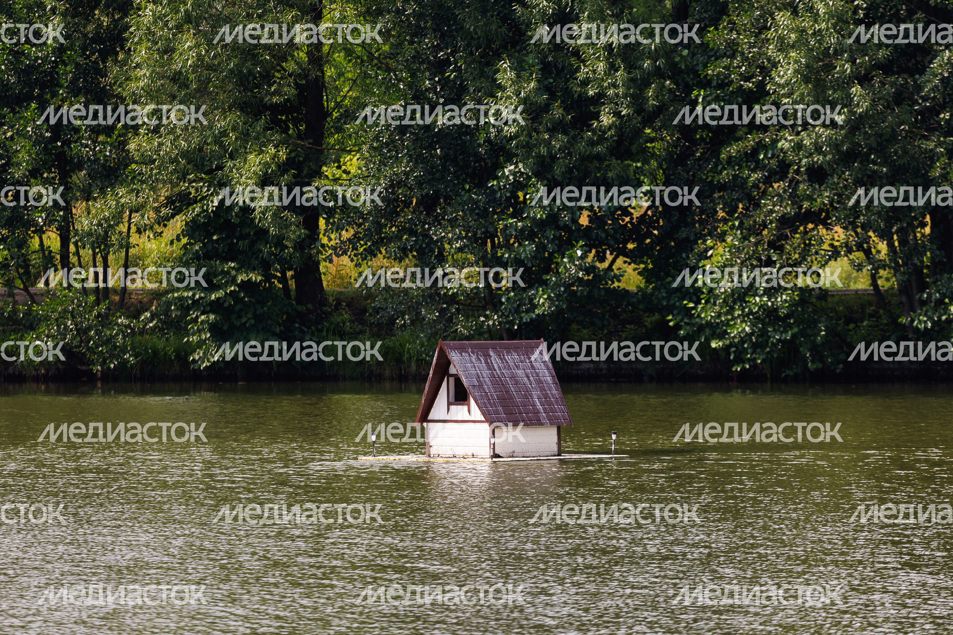 Парк "Липовая аллея" в Электроуглях