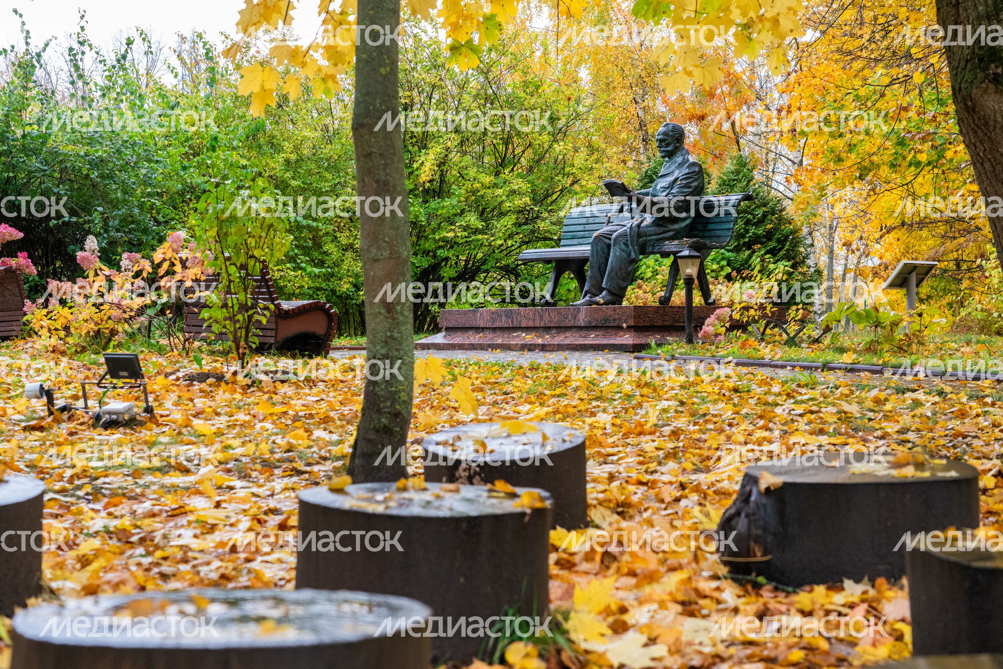 Памятник композитору в сквере Чайковского музея-заповедника П.И. Чайковского в Клину