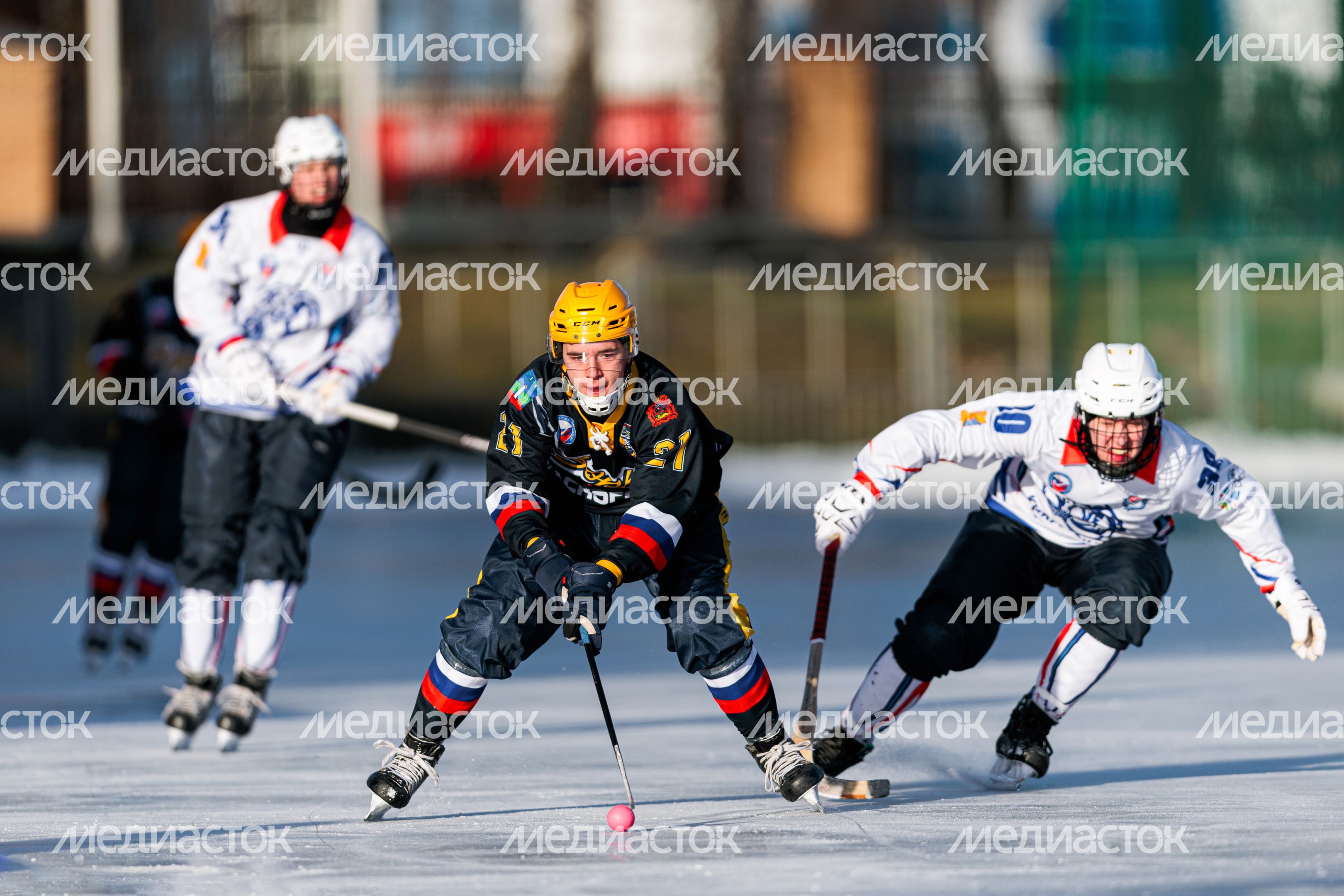 Чемпионат России по хоккею с мячом в Красногорске Чемпионат России по хоккею с мячом в Красногорске