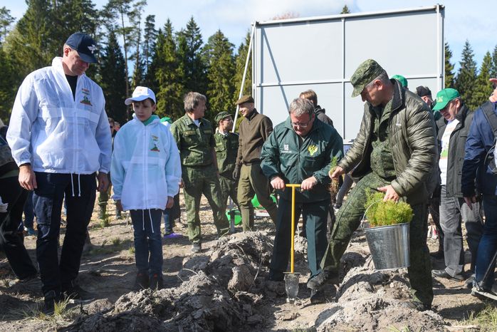 Ежегодная экологическая акция «Наш лес. Посади свое дерево» в Одинцовском городском округе