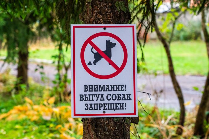 Табличка в парке «Выгул собак запрещен»