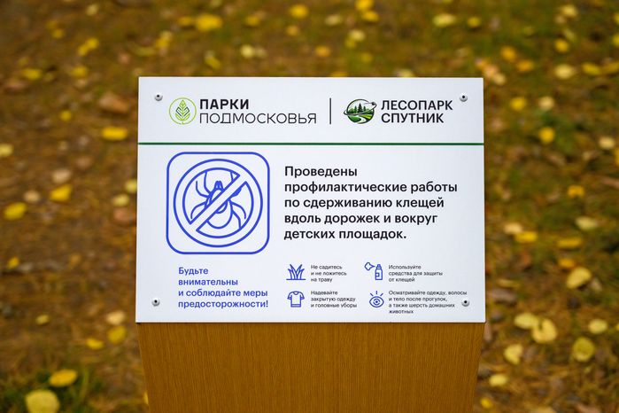 Лесопарк «Спутник» города Щелково осенью