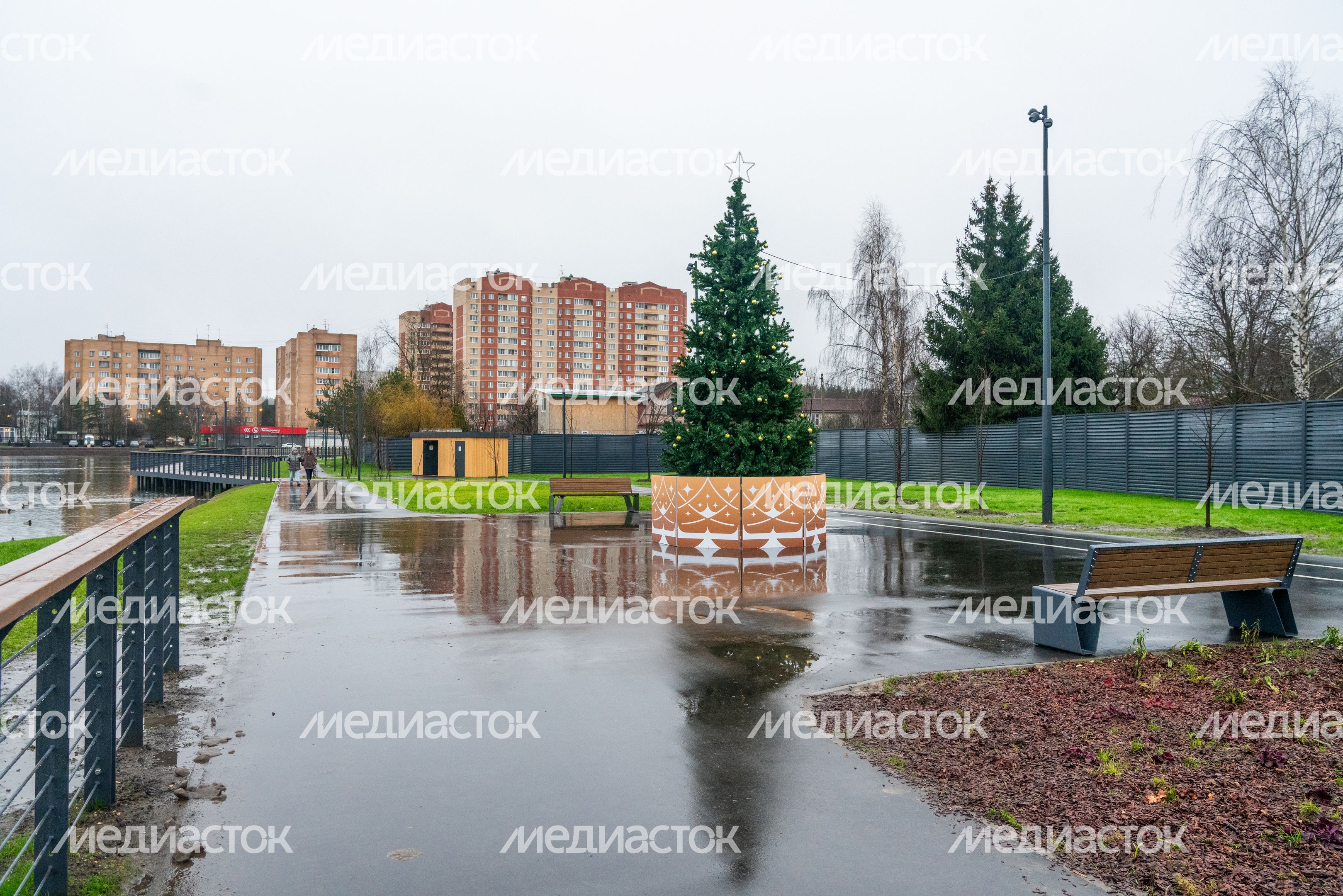 Новогодняя елка у Торфяного озера в Нахабино округа Красногорск Новогодняя елка у Торфяного озера в Нахабино округа Красногорск
