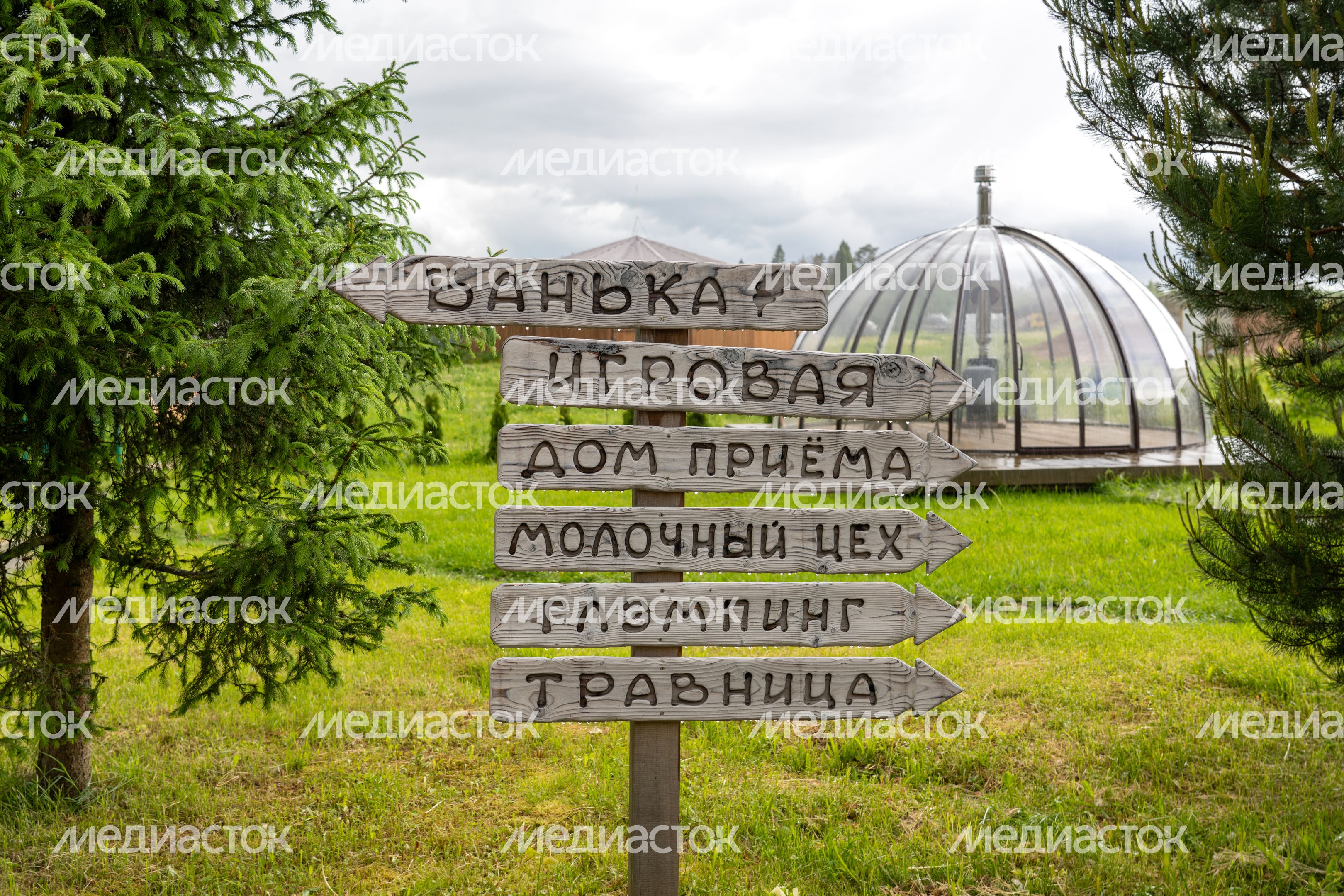 Поместье «Муза Рузы» - отдых в Подмосковье в гармонии с природой Поместье «Муза Рузы» - отдых в Подмосковье в гармонии с природой