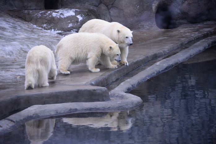 Московский зоопарк