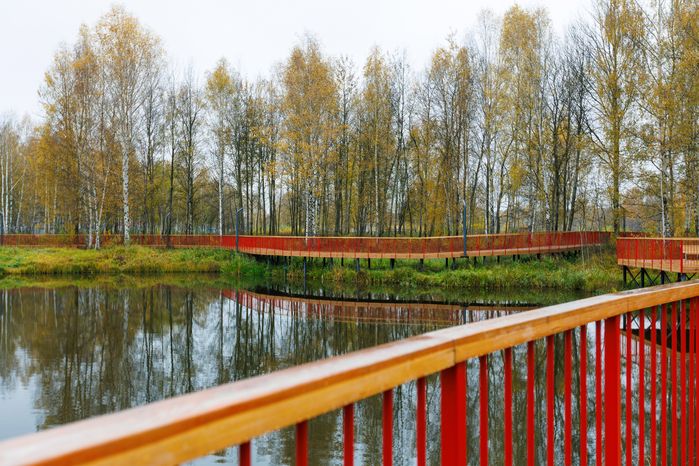 Пешеходный мост через реку в городском парке культуры и отдыха г. Ивантеевка осенью