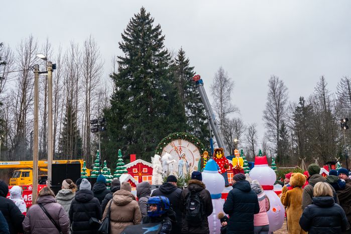 Главную новогоднюю елку страны спилили в Рузском округе