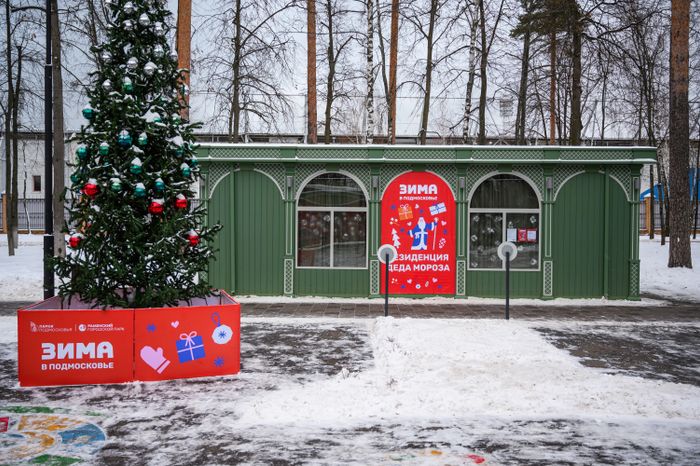 Елка в Раменском городском парке в новогодние праздники