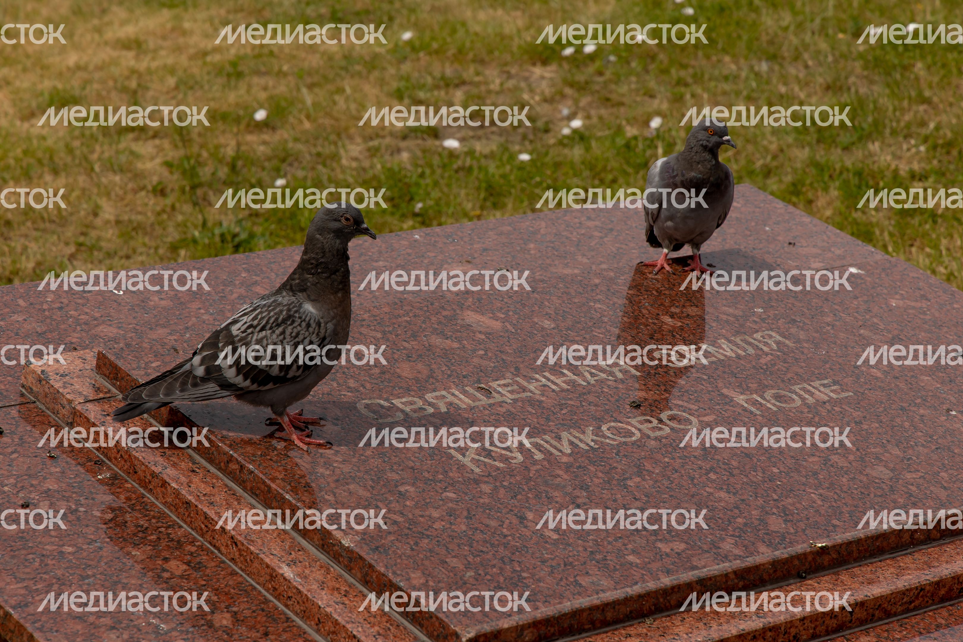 Памятник Дмитрию Донскому Памятник Дмитрию Донскому