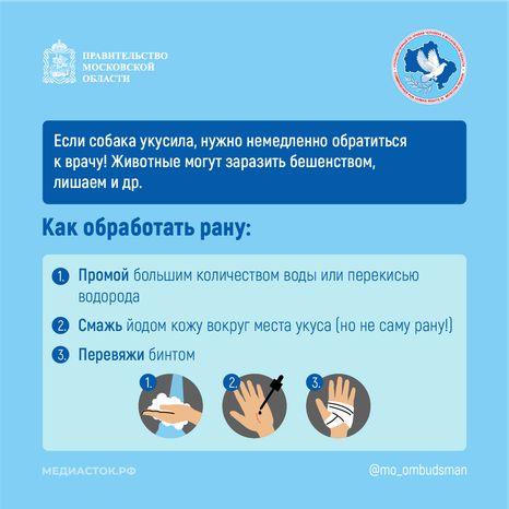 Осторожно злая собака квадрат 08