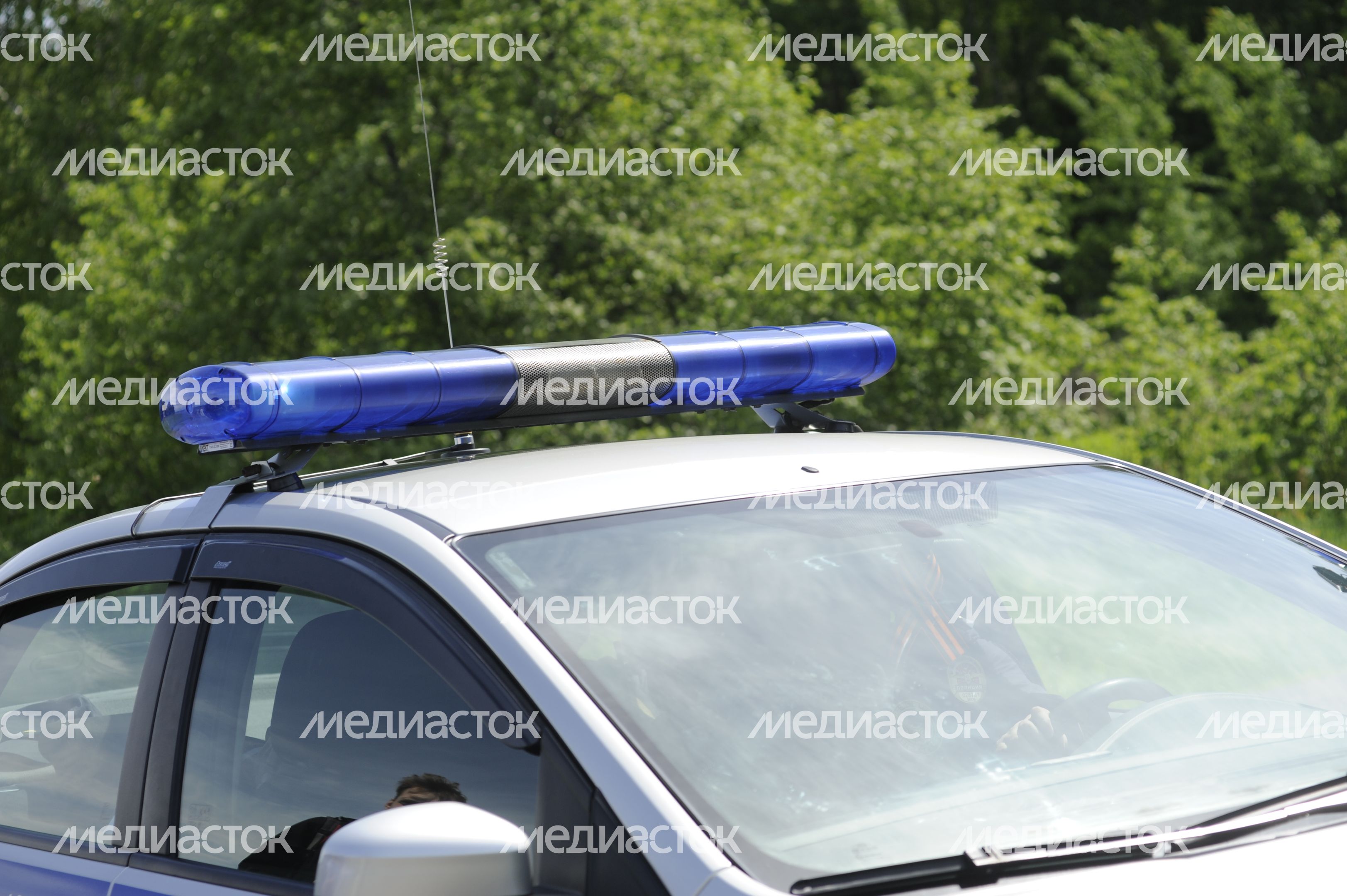 Полицейская машина в поселке Акулово