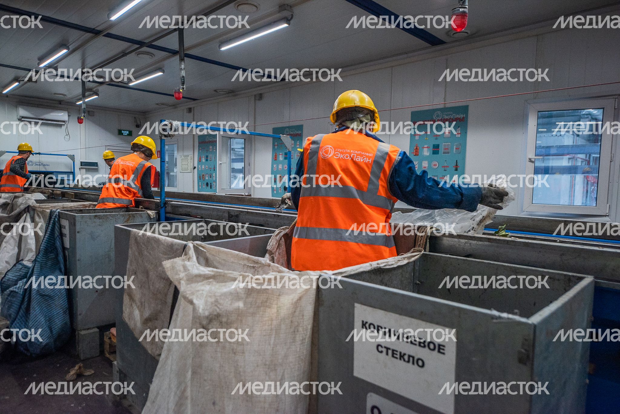 Комплекс по переработке отходов «Восток»: переработка органики