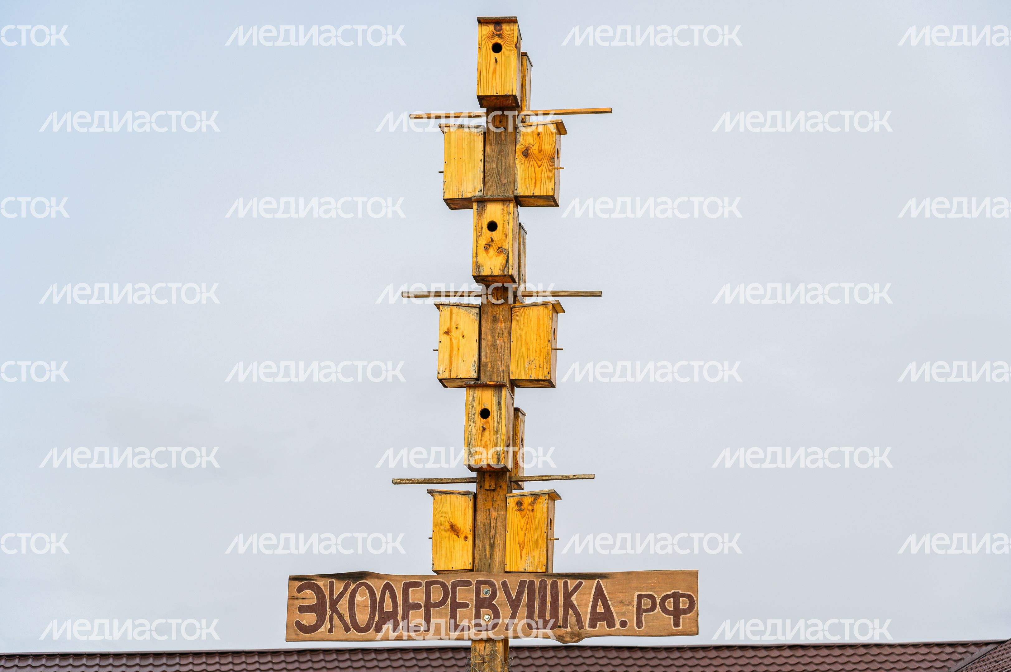 Ферма "ЭкоДеревушка" в Коломне