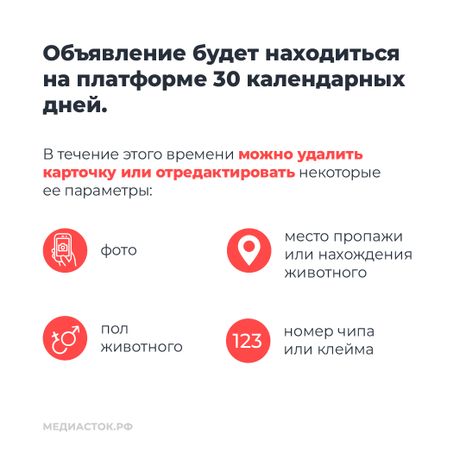 Домашние животные квадрат 08