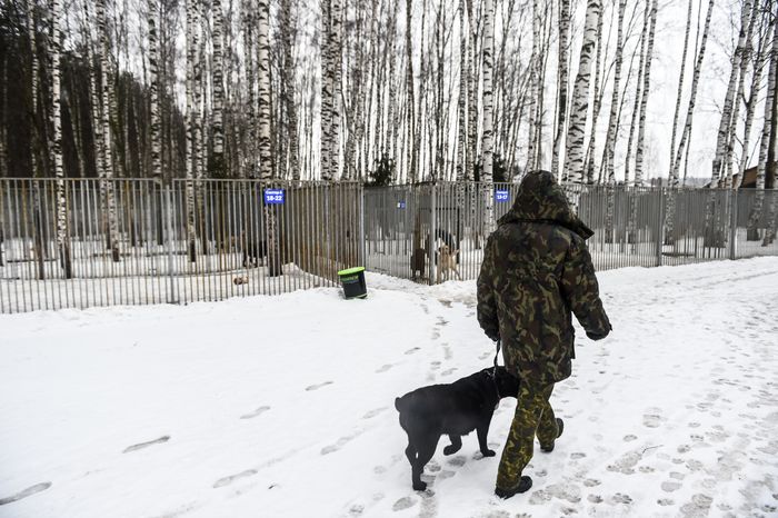 Школа собак‑проводников в Подмосковье