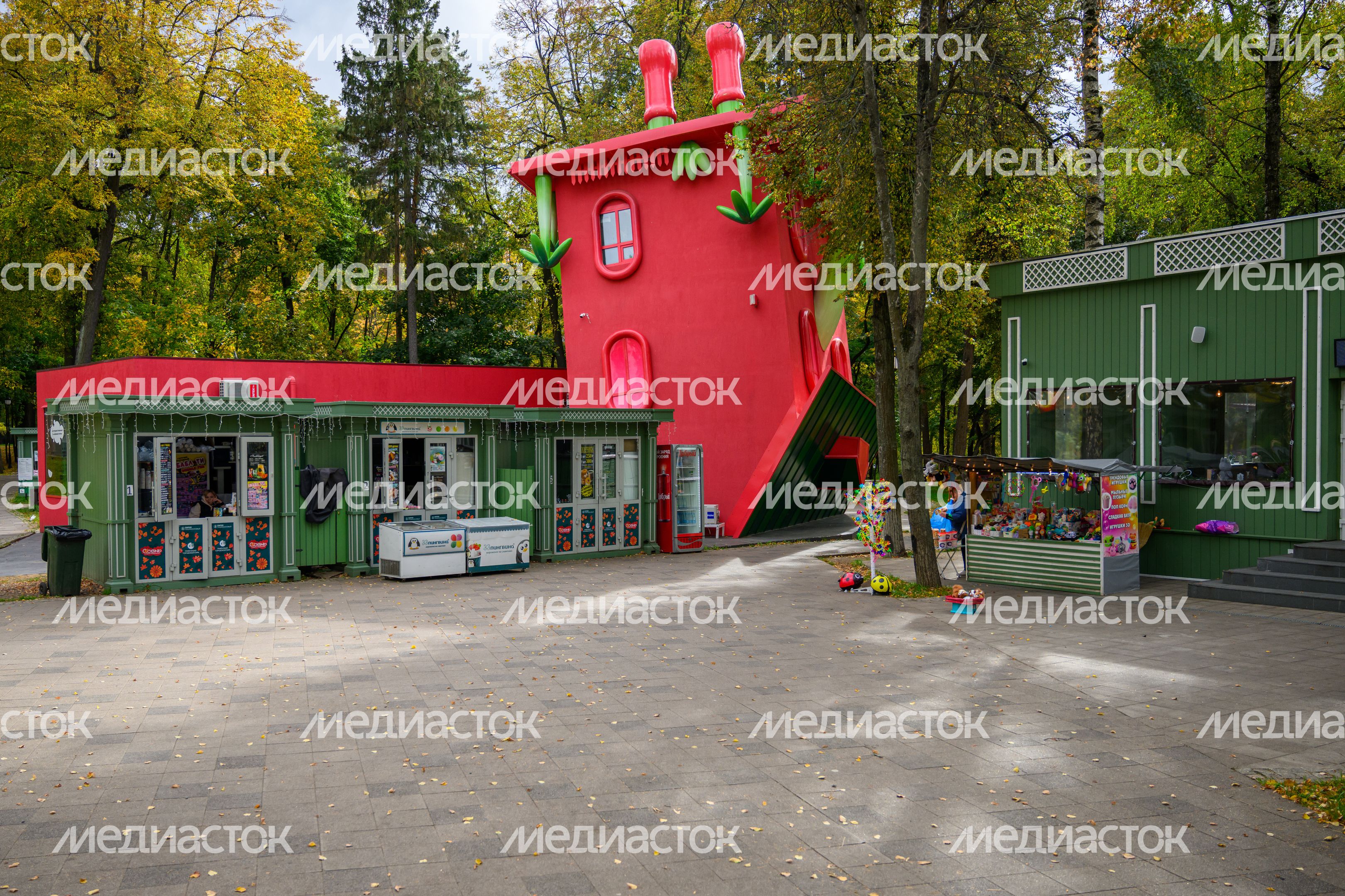 Раменский городской парк культуры и отдыха. Осень Раменский городской парк культуры и отдыха. Осень