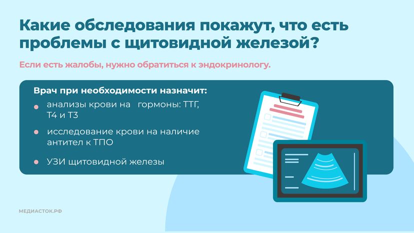 щитовидная железа семь вопросов Горизонталь 08