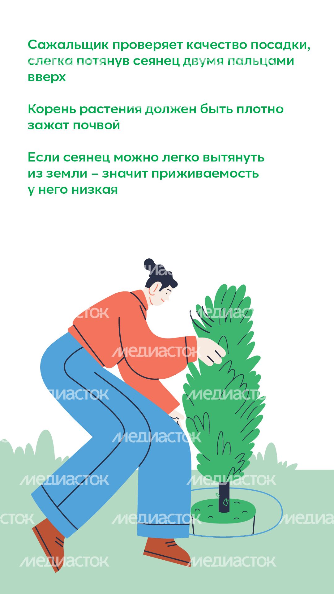 Вертикаль_ меч Колесова_06-100.jpg