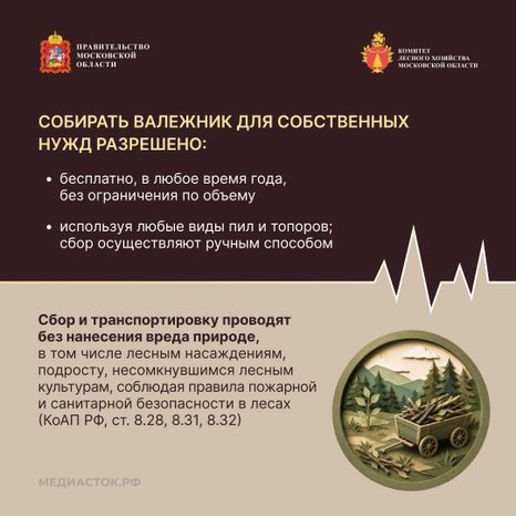 Валежник для собственных нужд квадрат 06