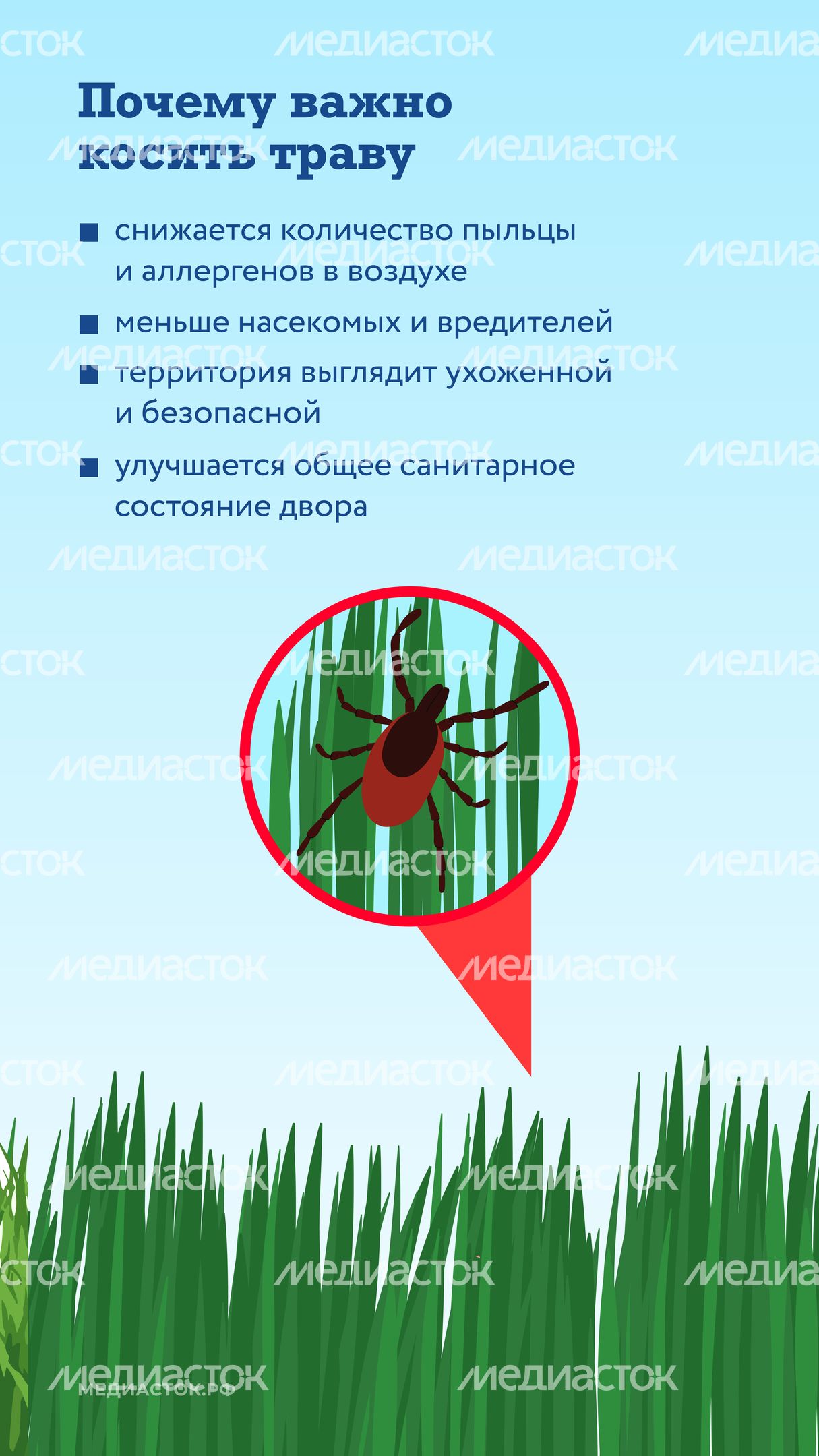 Как ухаживают за газонами вертикаль 05 Как ухаживают за газонами вертикаль 05