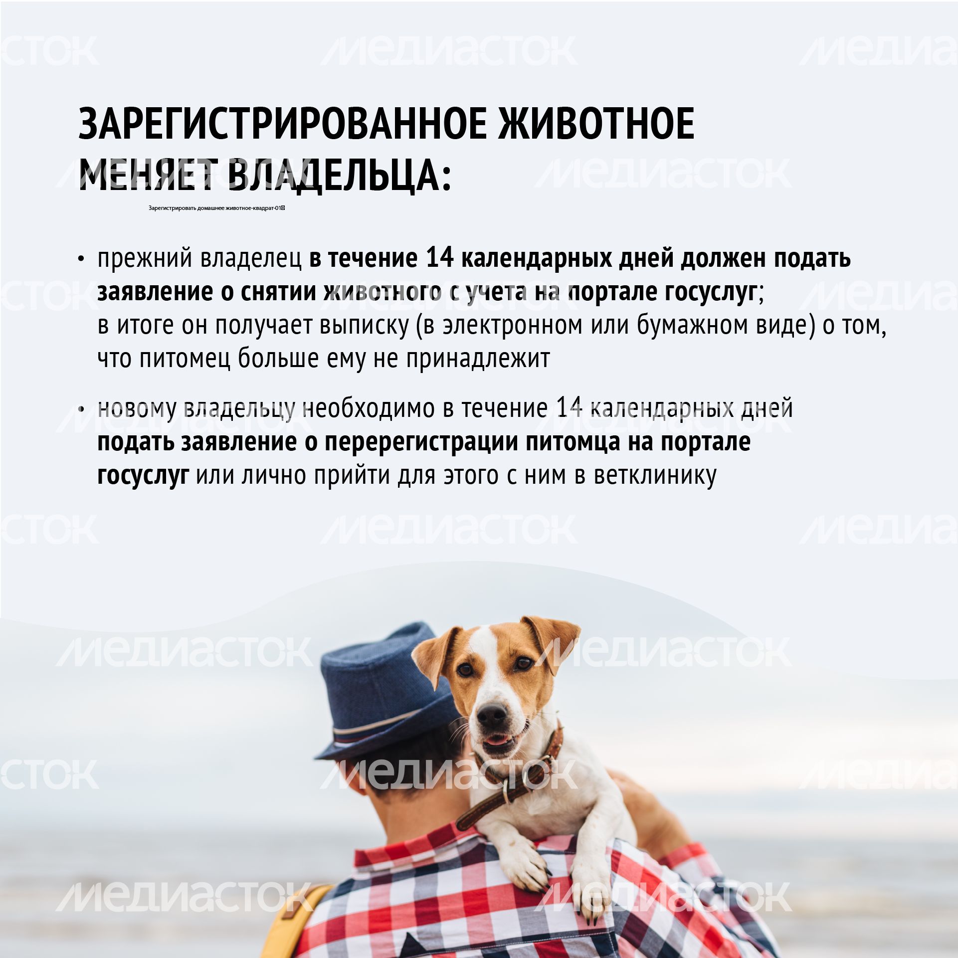 Зарегистрировать домашнее животное ред 2-квадрат-09.png