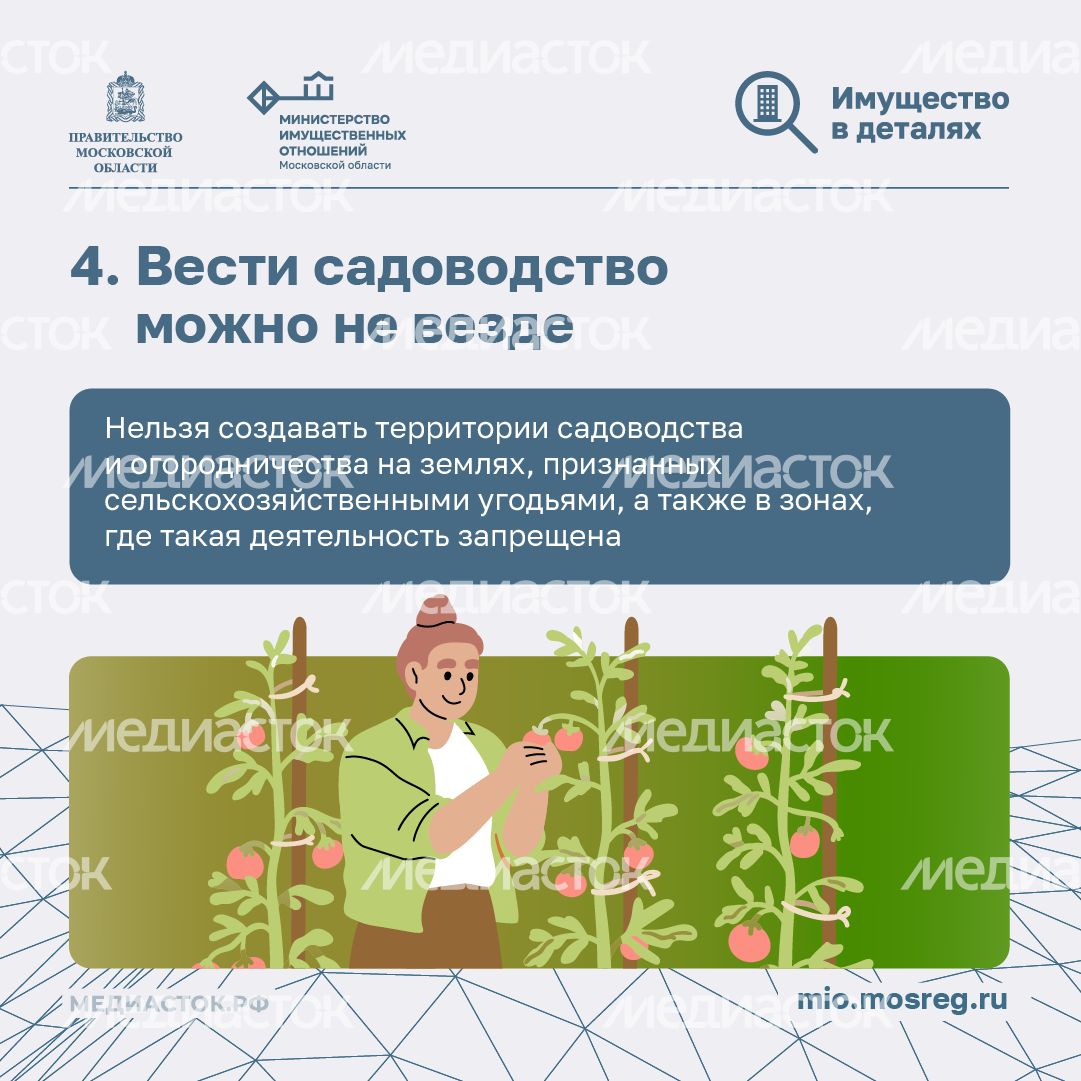 Новые правила для дачников квадрат 06 Новые правила для дачников квадрат 06