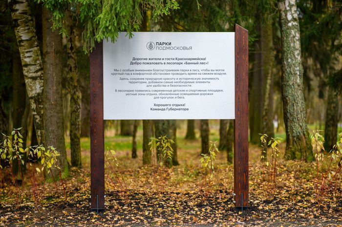 Лесопарк «Банный лес» в Красноармейске осенью