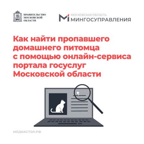 Домашние животные квадрат 01