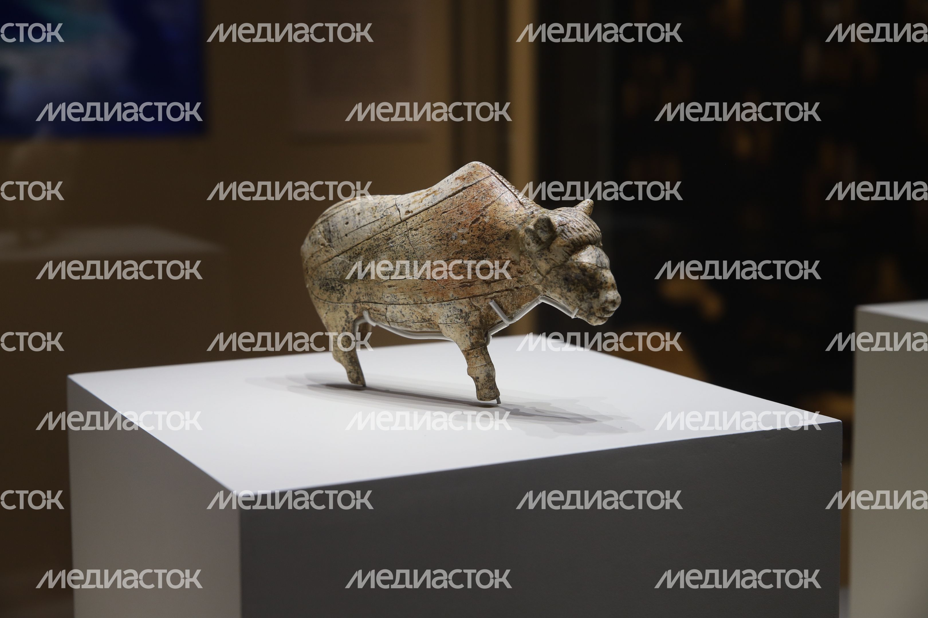 Зарайский кремль. Музей Зарайский кремль. Музей