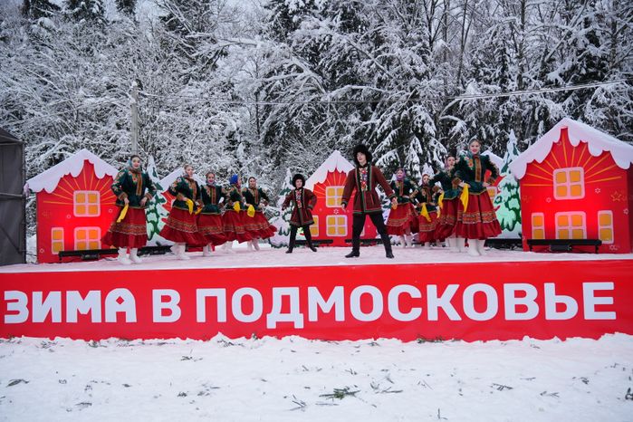 В Можайском городском округе спилили главную новогоднюю ель страны