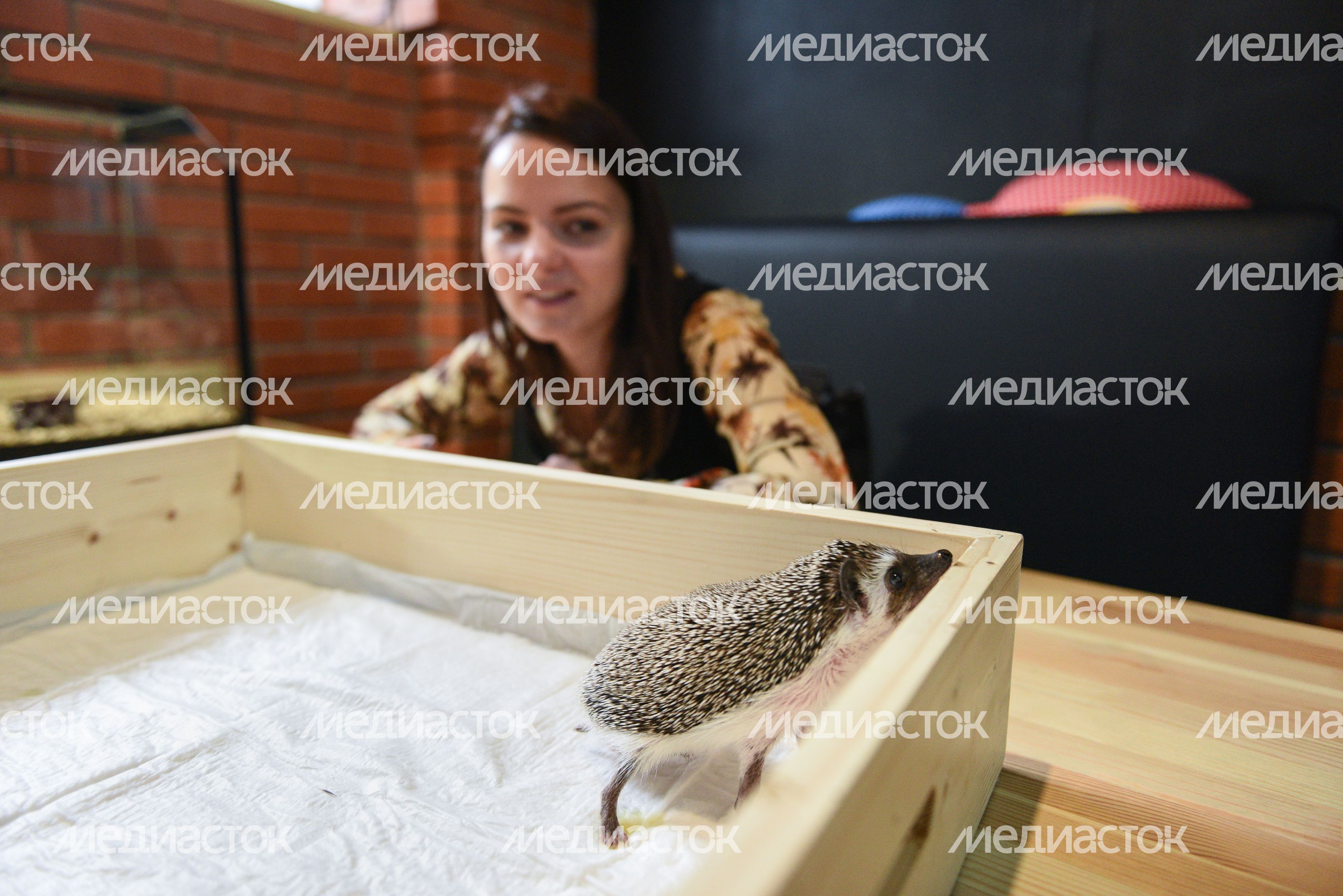 Кафе «Ежеминутка»