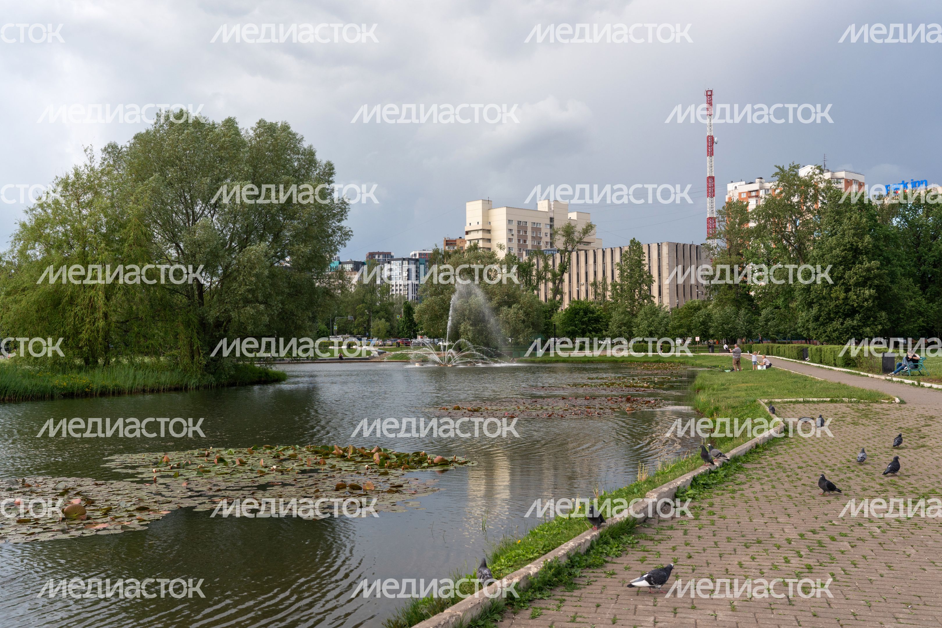 Пруд Баранка на Центральной площади Одинцово