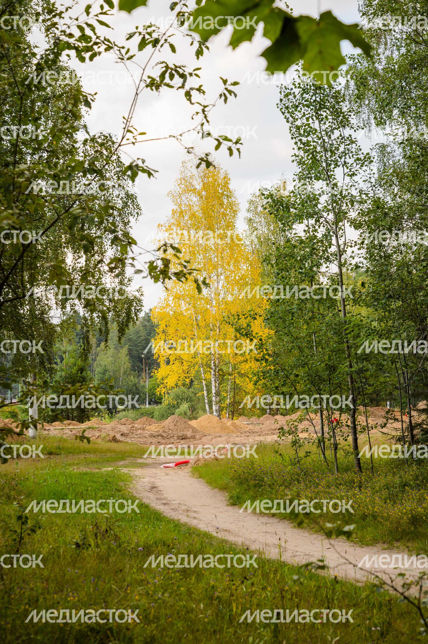 Черноголовка. Озеро Южное