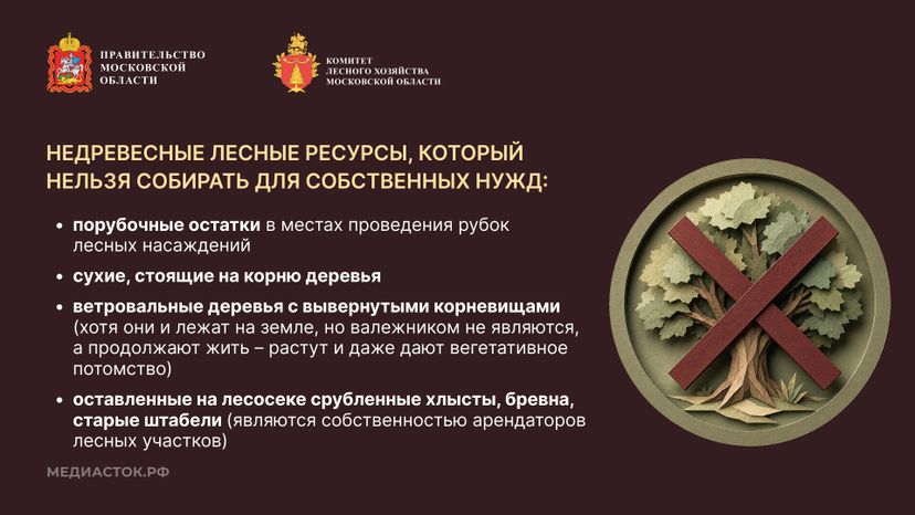 Валежник для собственных нужд горизонталь 05
