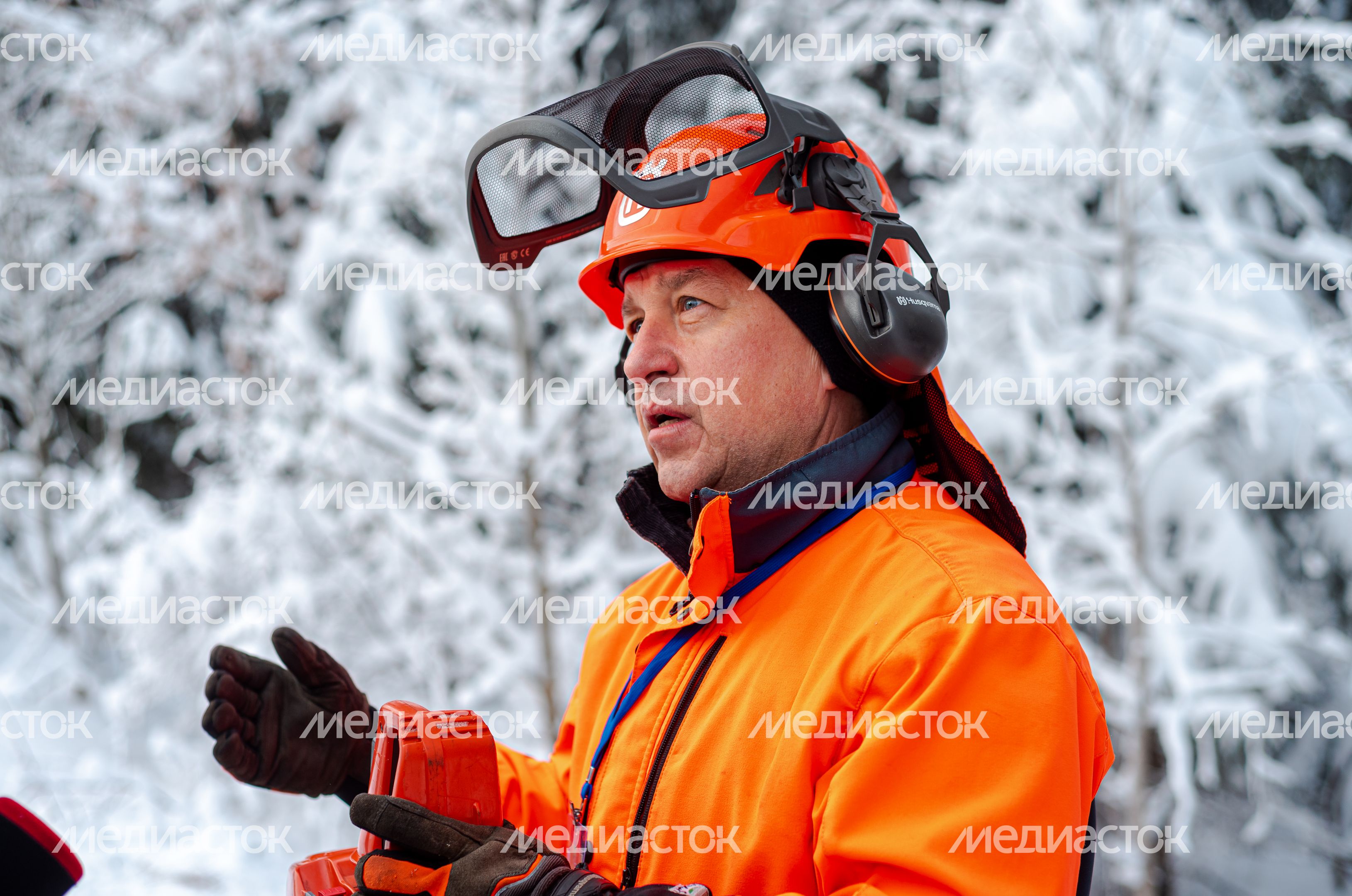 Рубка главной новогодней елки страны