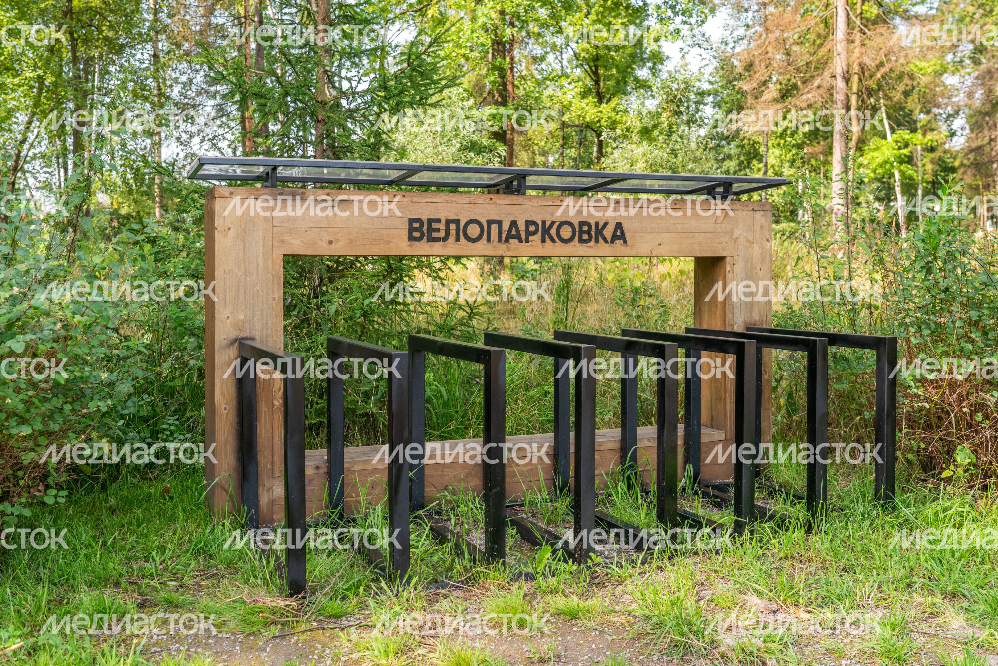 Парк «ПРОдвижение» летом в поселке НИИ Радио Одинцовского округа