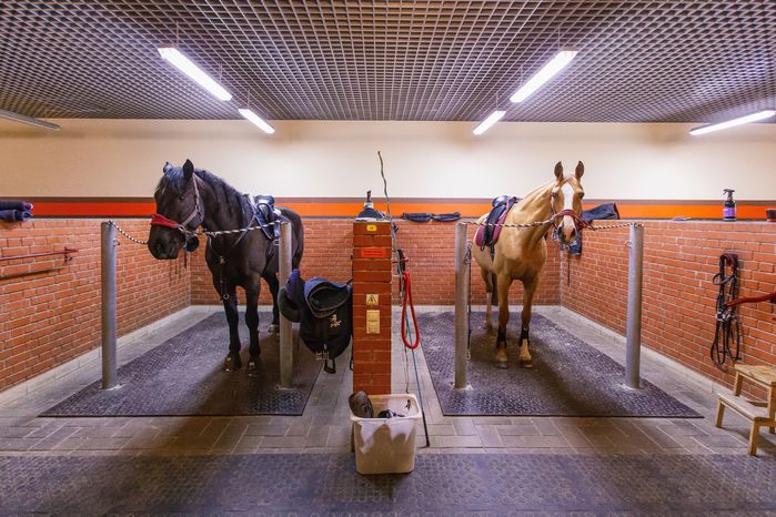Конноспортивный клуб «Дивный» в деревне Падиково в Истре