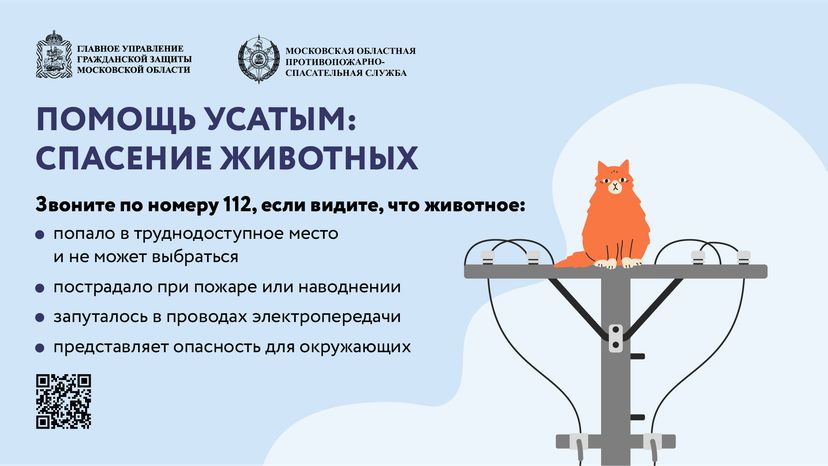 помощь усатым - горизонталь - 01