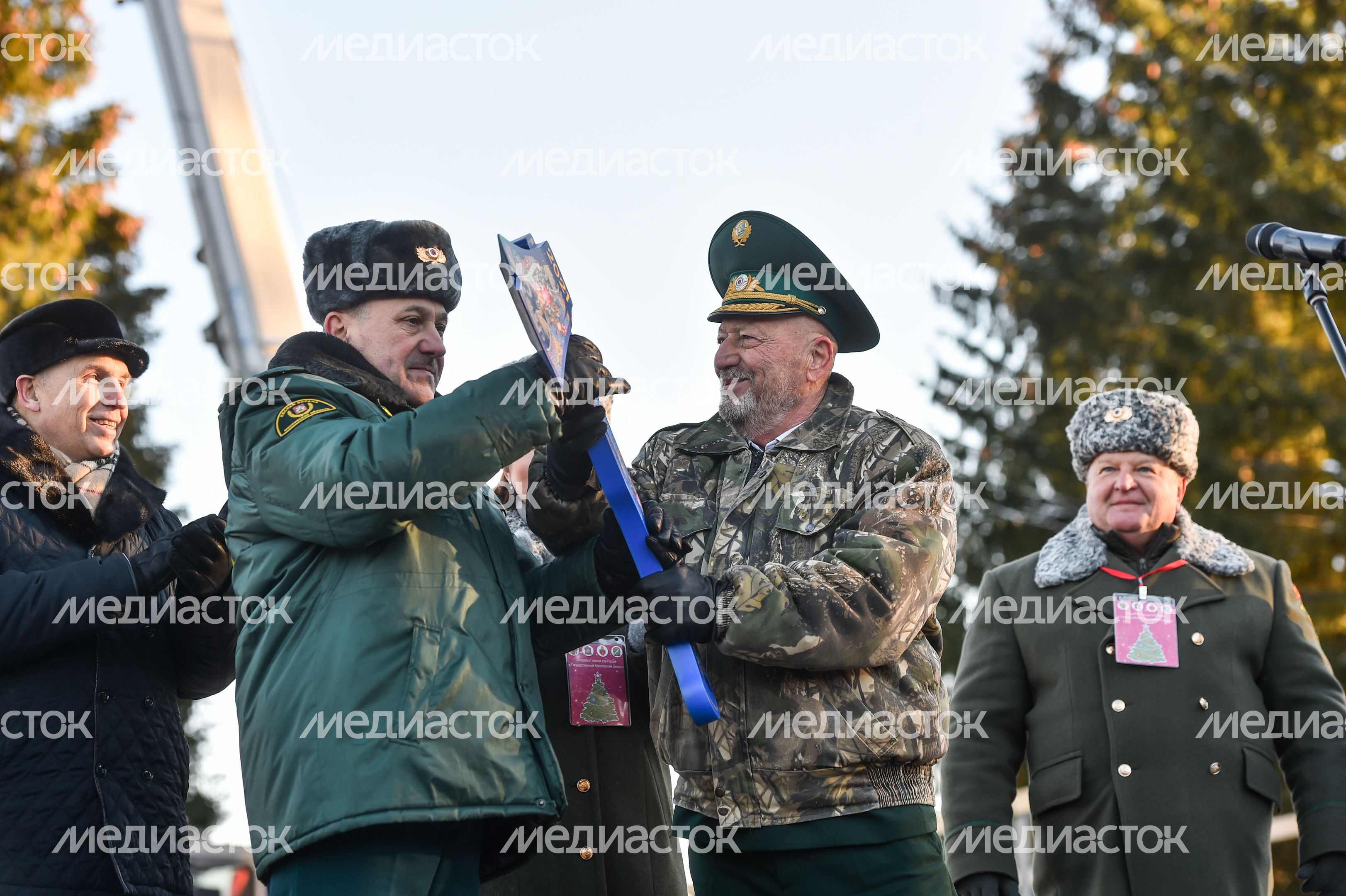Сруб главной новогодней ели страны в Наро-Фоминском округе Подмосковья