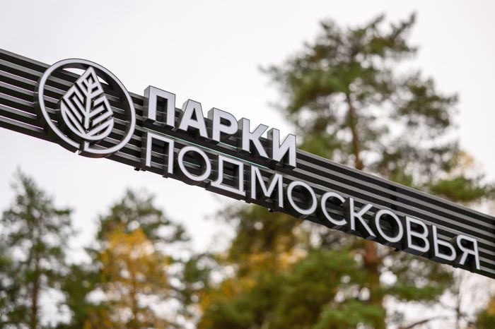 Лесопарк «Банный лес» в Красноармейске осенью