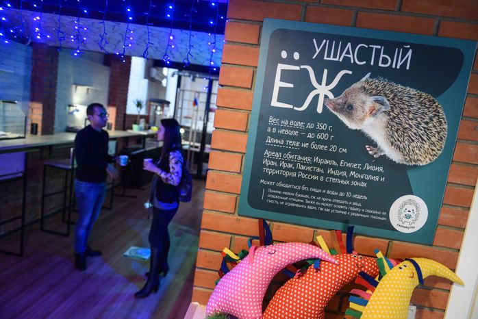 Кафе «Ежеминутка»