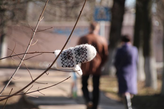 Варежка на ветке в Красноармейске