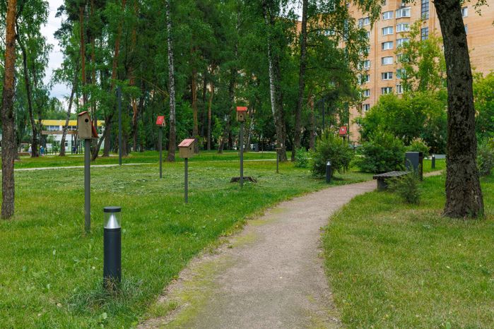 Лето в сквере Ветеранов в Балашихе