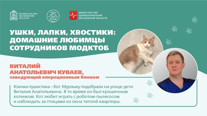 Ушки, лапки, хвостики горизонталь 01