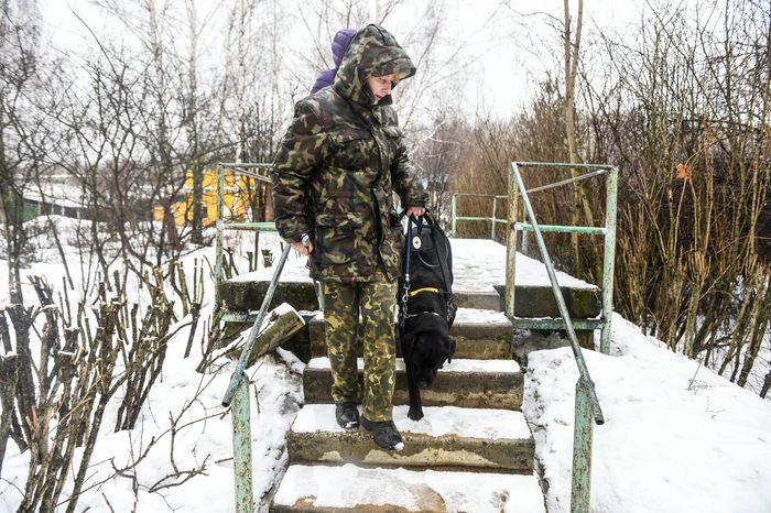 Школа собак‑проводников в Подмосковье
