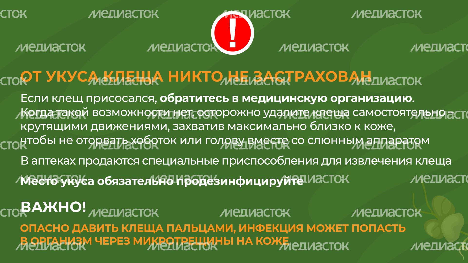 комлесхоз_клещи_гор_8
