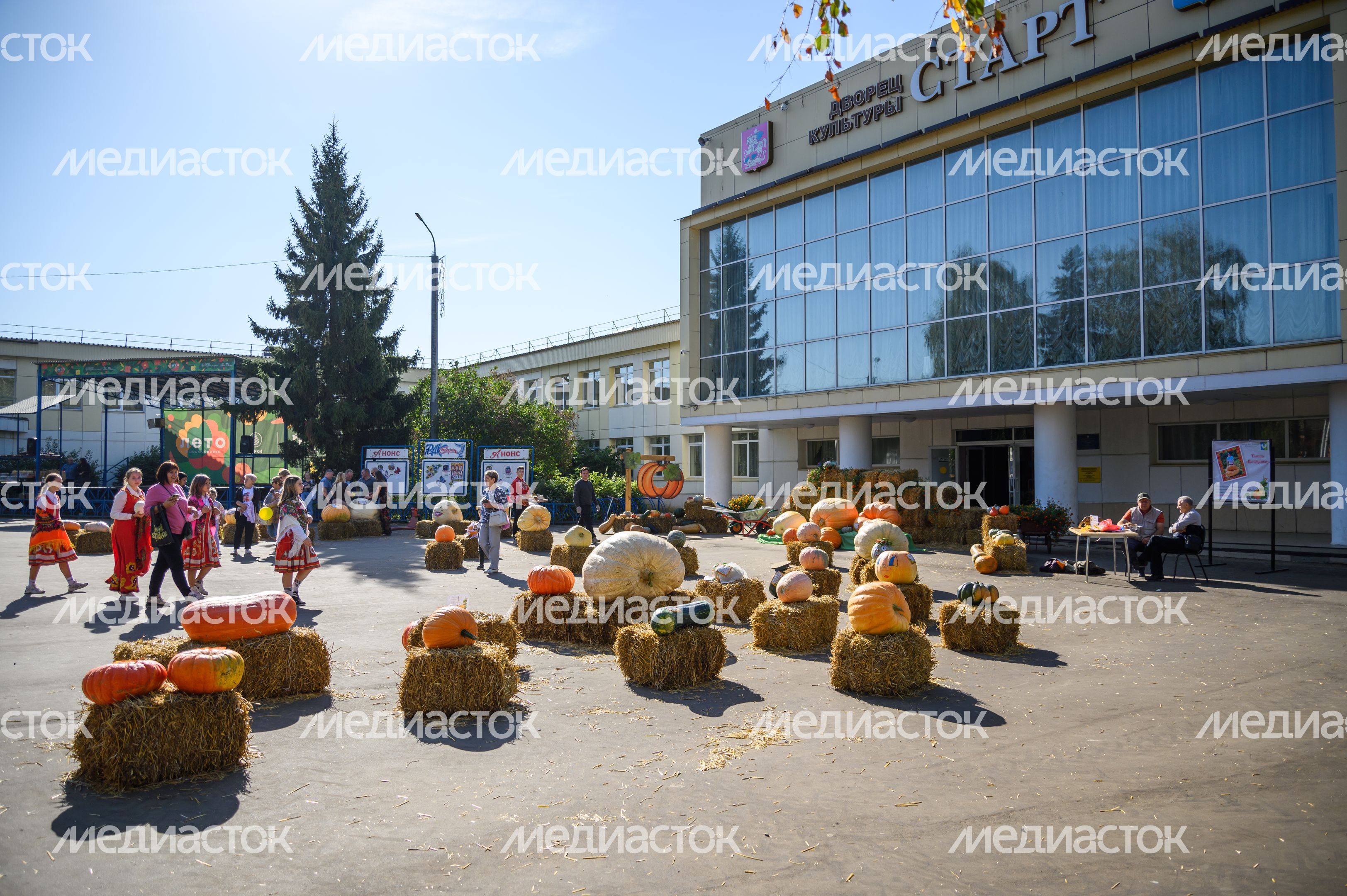 Выставка-ярмарка «Дары Подмосковья» в Луховицах Выставка-ярмарка «Дары Подмосковья» в Луховицах