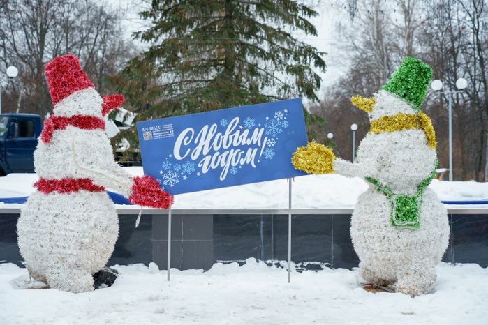 Кашира. Городской парк. Зима