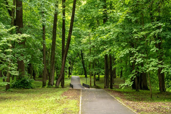Лотошинский парк культуры и отдыха. Лето 2026